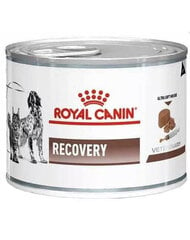 Royal Canin Vet Dog/Cat recovery, 195 гр цена и информация | Консервы для собак | kaup24.ee