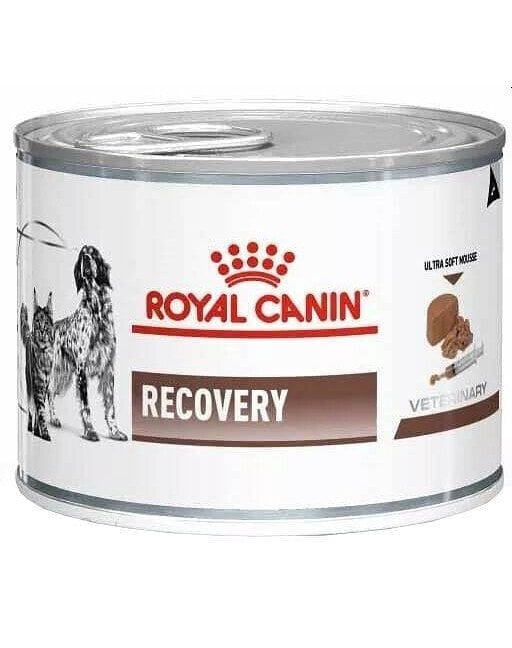 Royal Canin Vet Dog/Cat recovery, 195 g hind ja info | Konservid koertele | kaup24.ee