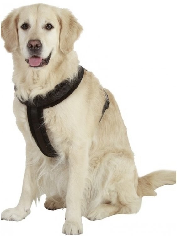 Traksid koertele Karlie Cross, erinevad suurused, must hind ja info | Kaelarihmad ja traksid koertele | kaup24.ee