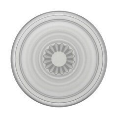 Держатель и подставка для телефона Popsockets PlantCore Grip Faded Stone 805500 - премиум цена и информация | Держатели для телефонов | kaup24.ee