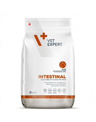 VetExpert Veterinary Diet Cat Intestinal, 2 кг цена и информация | Сухой корм для кошек | kaup24.ee