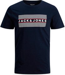 T-särk meestele Jack&Jones Regular Fit 12151955, sinine hind ja info | Meeste T-särgid | kaup24.ee