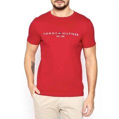 T-särk meestele Tommy Hilfiger 132168-8719862690053 цена и информация | Мужские футболки | kaup24.ee