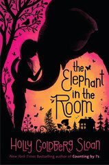 Elephant in the Room цена и информация | Книги для подростков и молодежи | kaup24.ee