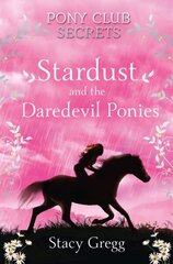 Stardust and the Daredevil Ponies hind ja info | Noortekirjandus | kaup24.ee