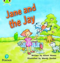 Bug Club Phonics - Phase 5 Unit 14: Jane and the Jay цена и информация | Книги для подростков и молодежи | kaup24.ee