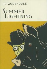 Summer Lightning цена и информация | Фантастика, фэнтези | kaup24.ee