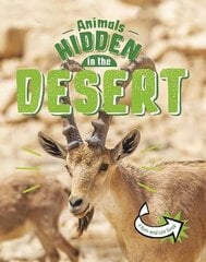 Animals Hidden in the Desert цена и информация | Книги для подростков и молодежи | kaup24.ee