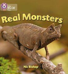 Real Monsters: Band 03/Yellow цена и информация | Книги для подростков и молодежи | kaup24.ee