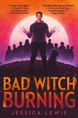 Bad Witch Burning цена и информация | Книги для подростков и молодежи | kaup24.ee