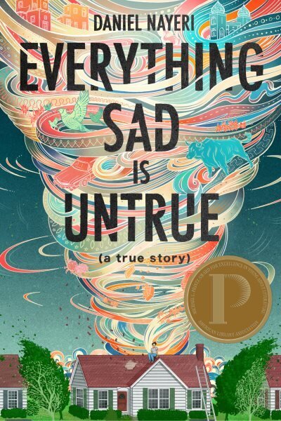 Everything Sad Is Untrue hind ja info | Noortekirjandus | kaup24.ee