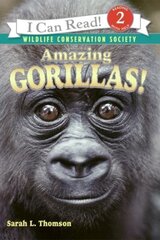 Amazing Gorillas! цена и информация | Книги для подростков и молодежи | kaup24.ee