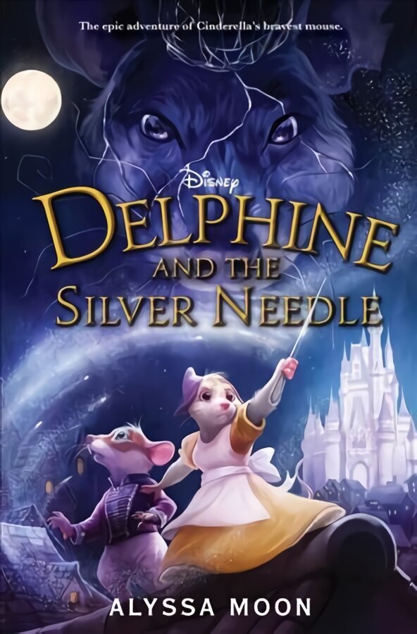 Delphine and the Silver Needle hind ja info | Noortekirjandus | kaup24.ee