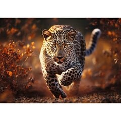 TREFL Premium Plus Пазл Wild Leopard, 1000 шт. цена и информация | Песочницы, песок | kaup24.ee