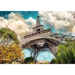 TREFL Premium Plus Пазл Eiffel Tower in Paris, 1000 шт. цена и информация | Песочницы, песок | kaup24.ee