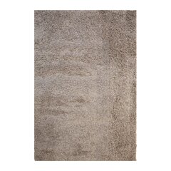 Vaip LIGHT PLUSH-2, 100x150cm, taupe hind ja info | Vaibad | kaup24.ee