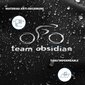 Team Obsidian Bike Covers 300D hind ja info | Muud jalgratta tarvikud | kaup24.ee