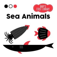 Sea Animals: Baby Montessori цена и информация | Книги для малышей | kaup24.ee