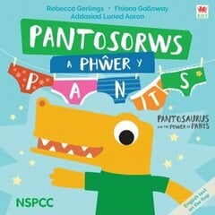 Pantosorws a Pher y Pants Bilingual edition hind ja info | Väikelaste raamatud | kaup24.ee