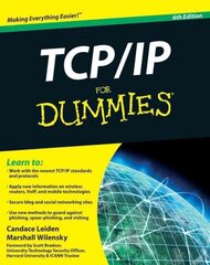 TCP / IP For Dummies 6th edition hind ja info | Majandusalased raamatud | kaup24.ee