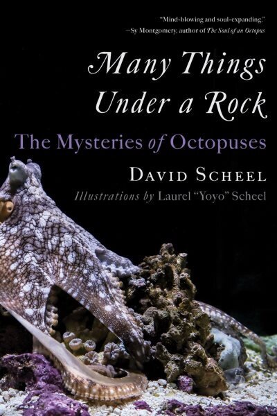 Many Things Under a Rock: The Mysteries of Octopuses цена и информация | Tervislik eluviis ja toitumine | kaup24.ee