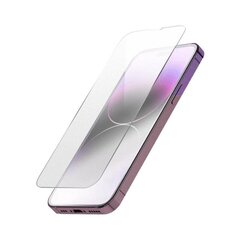 karastatud klaas 2,5D matt iPhone XS Max / 11 Pro Max jaoks hind ja info | Ekraani kaitsekiled | kaup24.ee