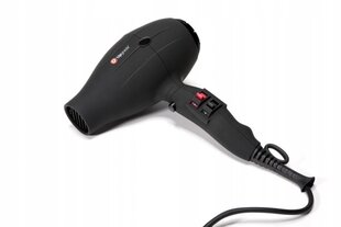 UG106E PROFESSIONAL IONIC HAIR DRYER UPGRADE alpha compact цена и информация | Фены | kaup24.ee