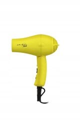 MINI Compact Travel Folding Hair Dryer - Lemon B352G цена и информация | Фены | kaup24.ee