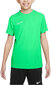 Nike T-särgid Teismelistele Y Nk Df Acd23 Top Ss Green DR1343 329 DR1343 329/L цена и информация | Meeste pusad | kaup24.ee