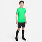 Nike T-särgid Teismelistele Y Nk Df Acd23 Top Ss Green DR1343 329 DR1343 329/L цена и информация | Meeste pusad | kaup24.ee