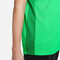 Nike T-särgid Teismelistele Y Nk Df Acd23 Top Ss Green DR1343 329 DR1343 329/L цена и информация | Meeste pusad | kaup24.ee