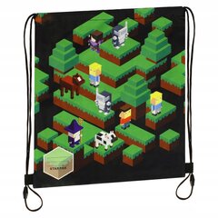 Kott-seljakott Starpak Game Labyrinth 506021, 40x34 cm цена и информация | Школьные рюкзаки, спортивные сумки | kaup24.ee