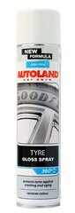 AUTOLAND 126230699 Riepu puhastusvahend hind ja info | Autokeemia | kaup24.ee