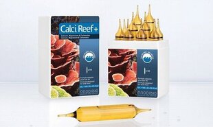 Аксессуар для морского наноаквариума Prodibio Calci Reef+, 10 шт. цена и информация | Аквариумы и оборудование | kaup24.ee