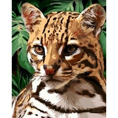 Maal numbrite järgi Wizardi Ocelot, 40x50cm цена и информация | Живопись по номерам | kaup24.ee