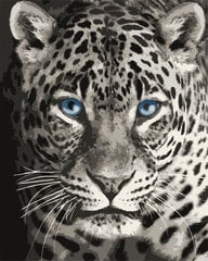 Maalimine numbrite järgi Wizardi Sinisilmne leopard, 40x50cm цена и информация | Живопись по номерам | kaup24.ee