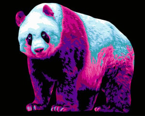 Maal numbrite järgi Wizardi Neon Panda, 40x50cm hind ja info | Maalid numbri järgi | kaup24.ee