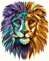 Maal numbrite järgi Wizardi Lion, 40x50cm цена и информация | Живопись по номерам | kaup24.ee