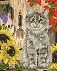 Maal numbrite järgi Wizardi Kitten ja Sunflowers, 40x50cm hind ja info | Maalid numbri järgi | kaup24.ee