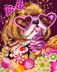 Wizardi Painting by Numbers Kit Sweet Tooth 40x50cm R008 hind ja info | Maalid numbri järgi | kaup24.ee