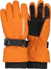 Didriksons детские зимние перчатки BIGGLES GLOVES 3, оранжевые цена и информация | Зимняя одежда для детей | kaup24.ee