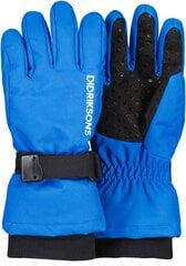 Didriksons детские зимние перчатки BIGGLES GLOVES 3, синие цена и информация | Зимняя одежда для детей | kaup24.ee