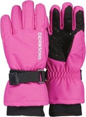 Didriksons детские зимние перчатки BIGGLES GLOVES 3, фуксия цена и информация | Зимняя одежда для детей | kaup24.ee