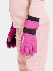 Didriksons laste talvekindad BIGGLES GLOVES 3, fuksia hind ja info | Laste talveriided | kaup24.ee