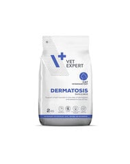 VetExpert Veterinary Diet Cat Dermatosis, 2 kg hind ja info | Kuivtoit kassidele | kaup24.ee