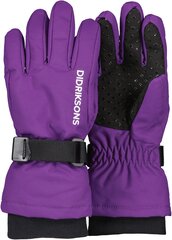 Didriksons детские зимние перчатки BIGGLES GLOVES 3, фиолетовые цена и информация | Зимняя одежда для детей | kaup24.ee