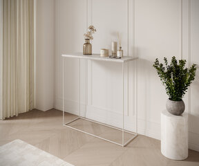 Konsoollaud ADRK Furniture Milan, valge/hall hind ja info | Konsoollauad | kaup24.ee