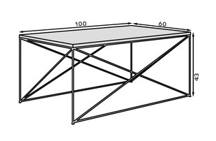 Kohvilaud ADRK Furniture Dante, valge/must hind ja info | Diivanilauad | kaup24.ee