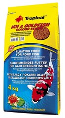 Toit tiigikaladele Tropical Koi & Goldfish Color Sticks, 4 kg hind ja info | Toit kaladele | kaup24.ee