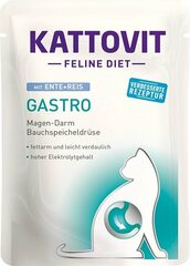 Kattovit Feline Diet Gastro pardi ja riisiga, 85 g hind ja info | Konservid kassidele | kaup24.ee